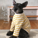 S＊ボーダー長袖Tシャツ