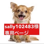 専用ページ