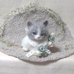 羊毛っ子　猫ちゃん♪　天使　２