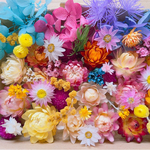 ドライフラワー花材　ハーバリウム花材　プリザーブドフラワー花材