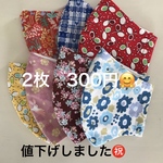 ✨値下げしました!!  選んで 2枚で300円　子供立体マスク✨