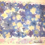 ♡new♡  ♡可愛い押し花セット♡ ♡たくさん入って使いやすい押し花セット♡