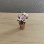 コスモス   10  ミニミニテラコッタ鉢