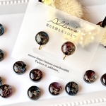 [No.82] Adam×Eve Intermingle Galaxy[耳飾り/10mm]