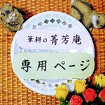p1ｃ0様  専用ページです（他の方はご購入できませんのでご注意下さい）