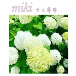 mikiさん専用