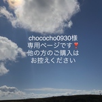 chococho0930様専用ページです❣️ブレードレースマスクカバー