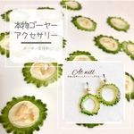 一年中身につけられる♪本物のゴーヤーのピアス