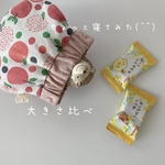 パクパクミニポーチ ＊薬入れ、あめちゃん入れ、アクセサリー入れ、イアホン入れ、小銭入れに最適☆赤いりんご柄が可愛い☆プレゼントにも♡