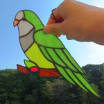 ステンドグラス　オキナインコ　サンキャッチャー　【鳥　小鳥　インコ】