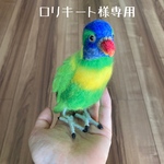 羊毛フェルト　キムネゴシキセイガイインコ