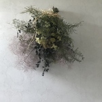 スモークツリーとスターチスとシースターリース