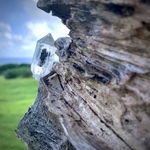 ハーキマーダイヤモンド(Herkimer Diamond) ダブルターミネーテッド（両剣水晶）◆送料無料◆大粒 S00050 天然無研磨 虹