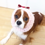 モコすぬ（ピンク）