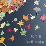 〈送料無料〉秋の色　紅葉と銀杏　160枚セット