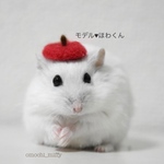 りんごのベレー帽