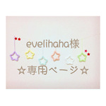 evelihaha様 専用ページ ウールレター