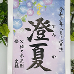 フレーム付き手書き命名書A4判  オーダー③