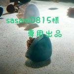 専用出品です(´▽｀)