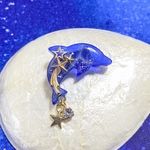 星の海　宇宙のイルカブローチ