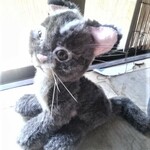 イリオモテヤマネコのぬいぐるみ