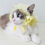 フラワーヘッドドレス yellow