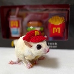 ハンバーガーショップのサンバイザー