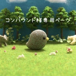 【コンパウンド様専用ページ】になります