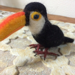 オニオオハシ