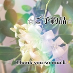 ※※cyubird様専用ページ※  