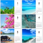 【先行販売】②2022年 沖縄卓上カレンダー（OKINAWORLDセレクション）