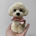 動物ぽんぽん　トイプードル   毛色:アイボリー（鼻ボタンタイプ）
