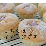 送料込み　ミニカップ生しふぉん2種