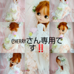 Cherryさん専用！