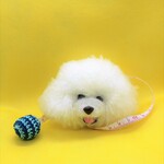 ピジョンフリーゼのメジャー（オーダー）