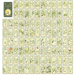 ヴィンテージカード（植物）