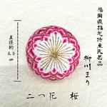 柳川まり　二つ花　桜