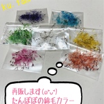 たんぽぽの綿毛 綿毛カラー350本 ドライフラワー  ku.fam