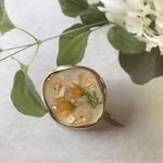 🌼押し花ポニーフック✨