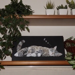 猫さんと一緒１（完成品）