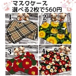 2枚セット マスクケース  ☆今だけ送料無料☆