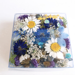 (ブルー)Flower box❤︎花材