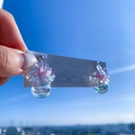 【再販なし】aqua butterfly ガラスドーム ピアス・イヤリング