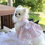 犬服【接触冷感素材】ふんわりリバティワンピース　チェリードロップ　犬の服　犬ワンピース