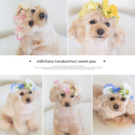 スイトピー・花かんむり（ワンちゃん用）