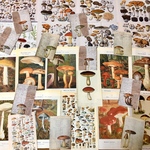 (再販×7)キノコの古い紙ものセット＊コラージュ素材＊ジャンクジャーナル