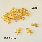 送料無料＊星のチャーム