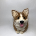おすわりコーギー(舌出し)