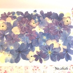 ♡new♡作家様必見♡ 人気の紫陽花MIXセット♡押し花セット