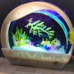 必見！ドラゴンは実在した